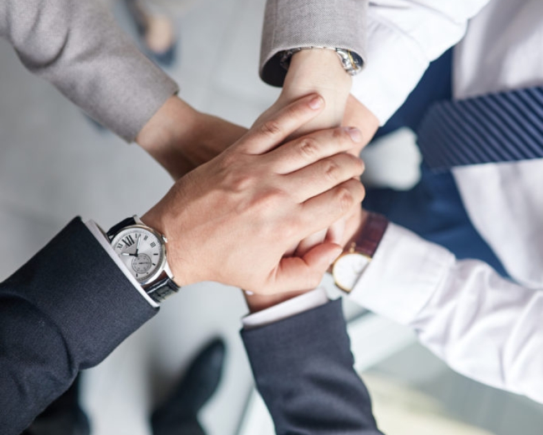 Group of colleagues in formalwear joining hands together while celebrating completion of joint project, close-up shot